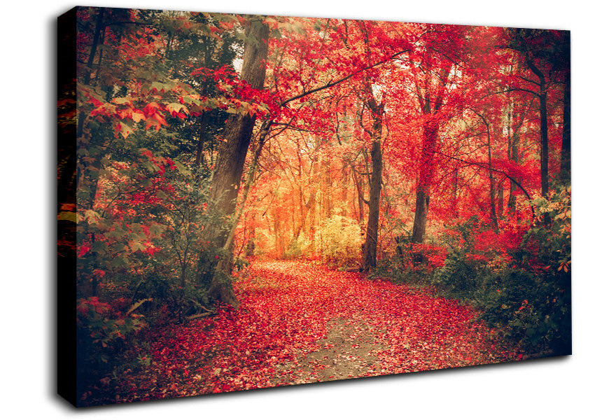 Red Tree Walk Canvas Wall Art
