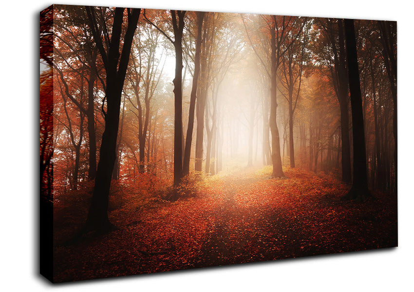 Light From Heaven Canvas Wall Art