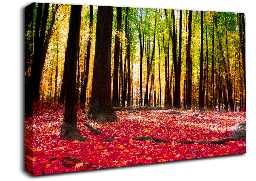 Autumn Leaves Canvas Wall Art
