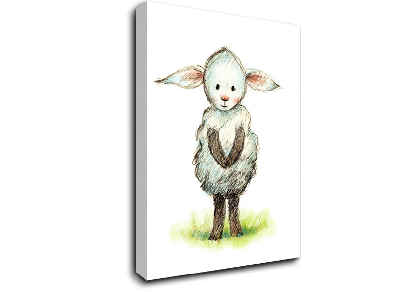 Shy Sheep Canvas Wall Art