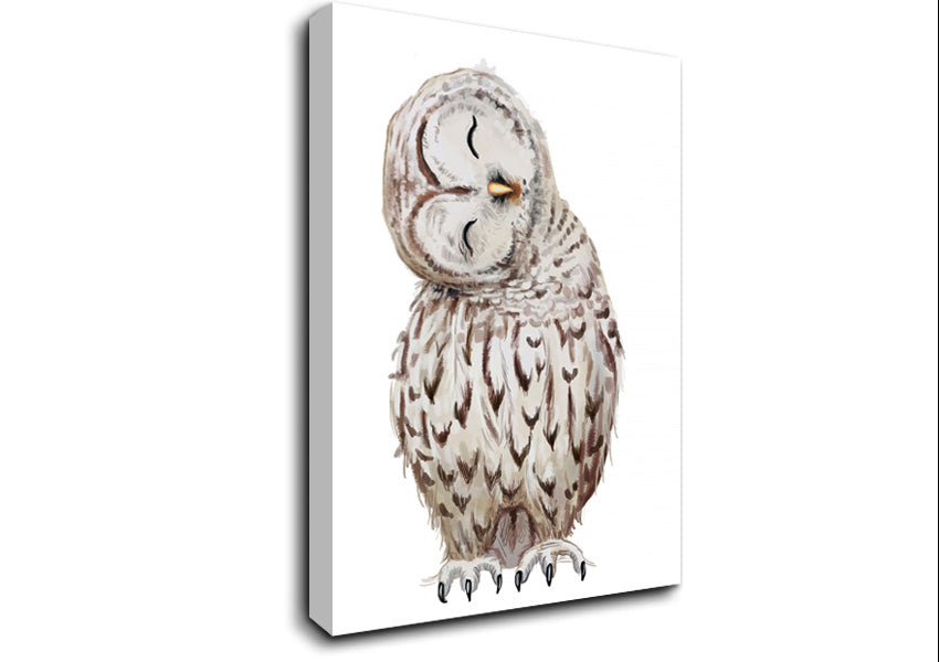 Owl Feathers Canvas Wall Art
