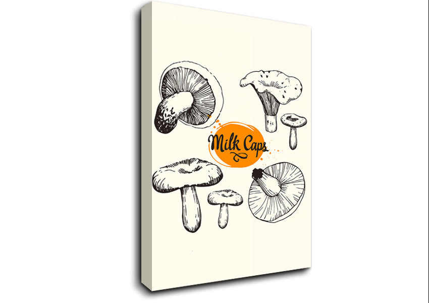 Milk Cap Mushrooms Canvas Wall Art