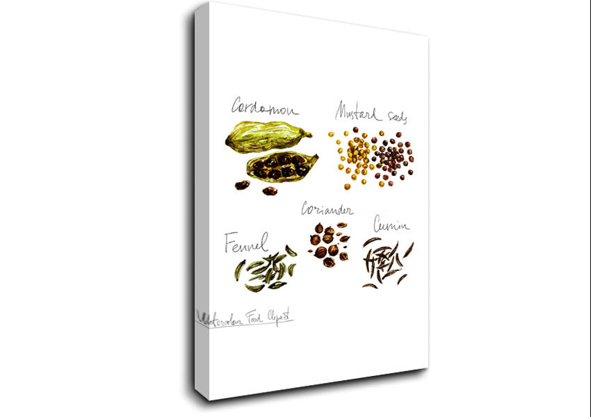 Spice Selection 1 Canvas Wall Art