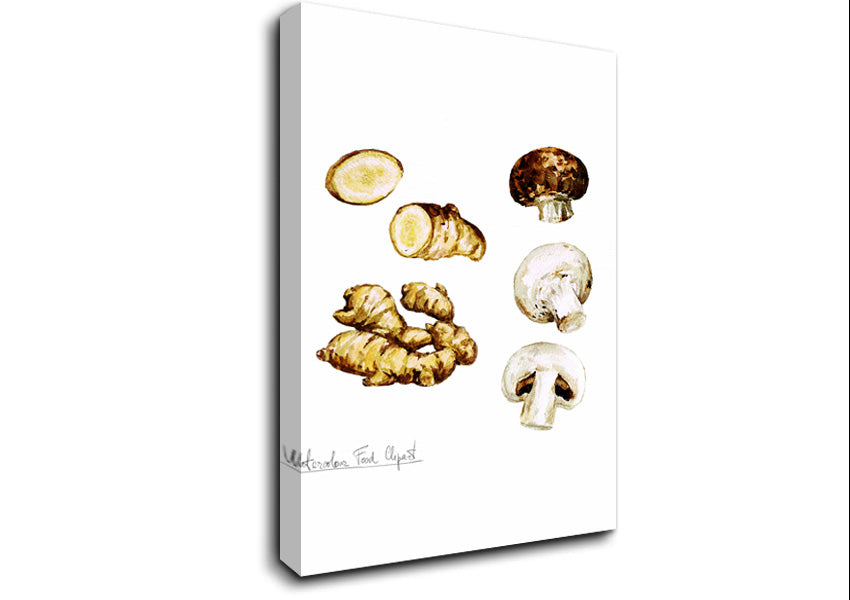 Mushrooms And Ginger Canvas Wall Art