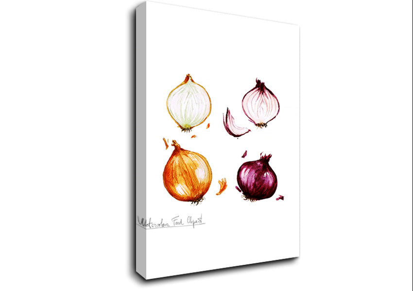 Onions Canvas Wall Art