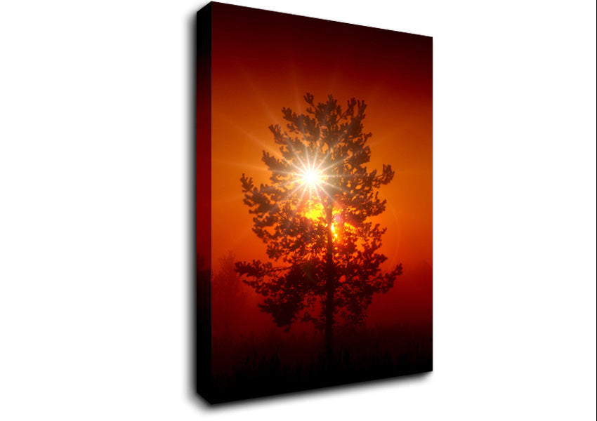 Orange Skies Canvas Wall Art