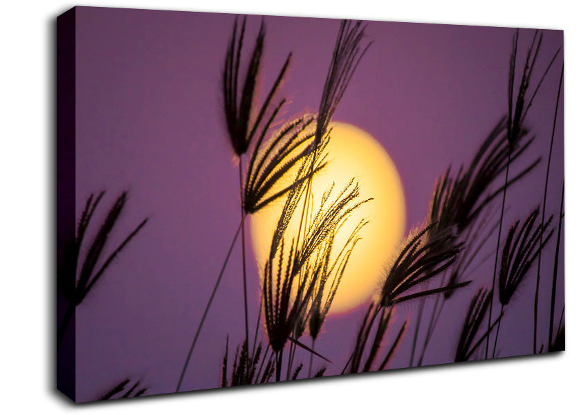 Yellow Sun In The Purple Sky Canvas Wall Art