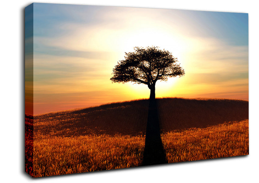 Sun Behind The Old Oak Tree Canvas Wall Art