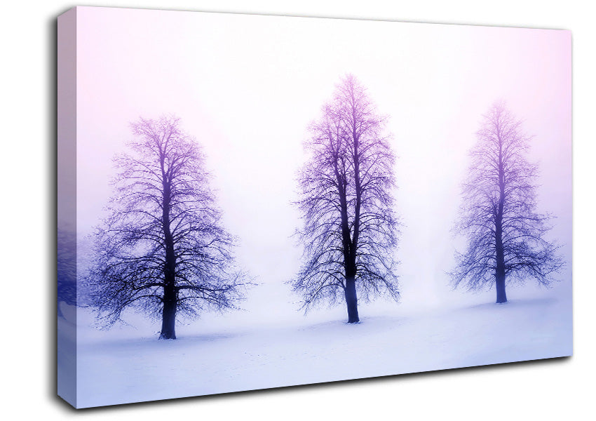 Purple Winter Trees Canvas Wall Art