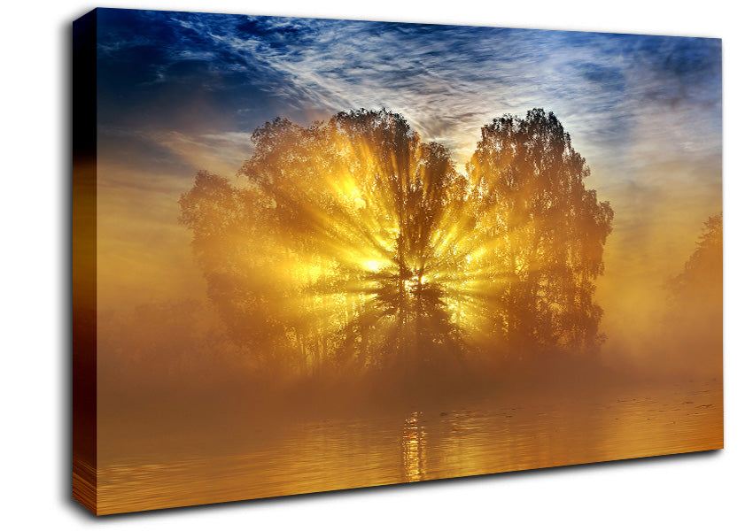 Golden Sunburst Tree Canvas Wall Art