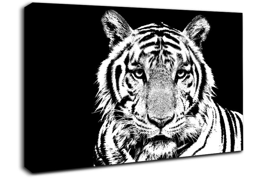 Stunning Tiger Face Canvas Wall Art