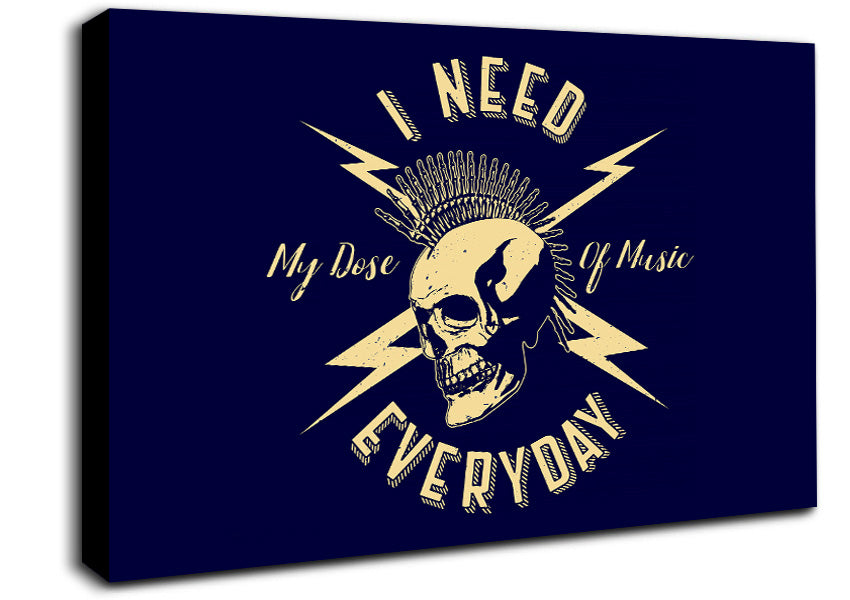 I Need My Dose Of Music Canvas Wall Art