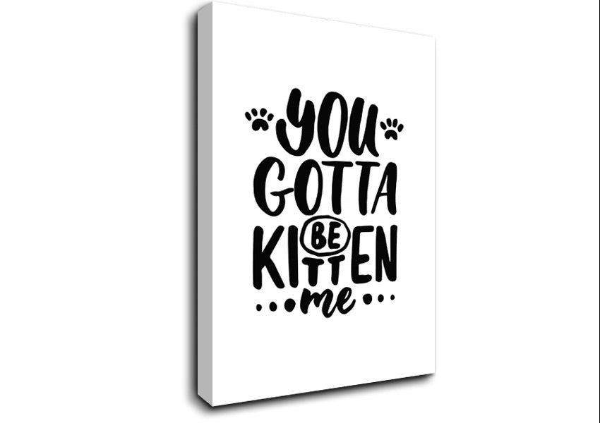 You Gotta Be Kitten Me Canvas Wall Art