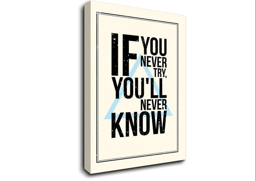 If You Never Try Canvas Wall Art
