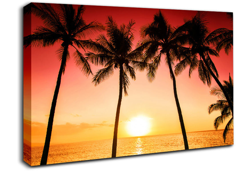 Sunset Between The Palm Trees Canvas Wall Art