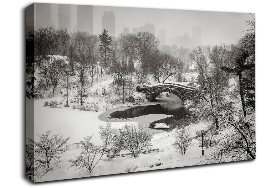 Snowing In Central Park Canvas Wall Art