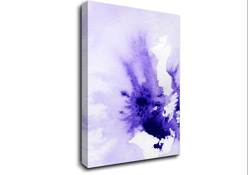Purple Explosion Canvas Wall Art