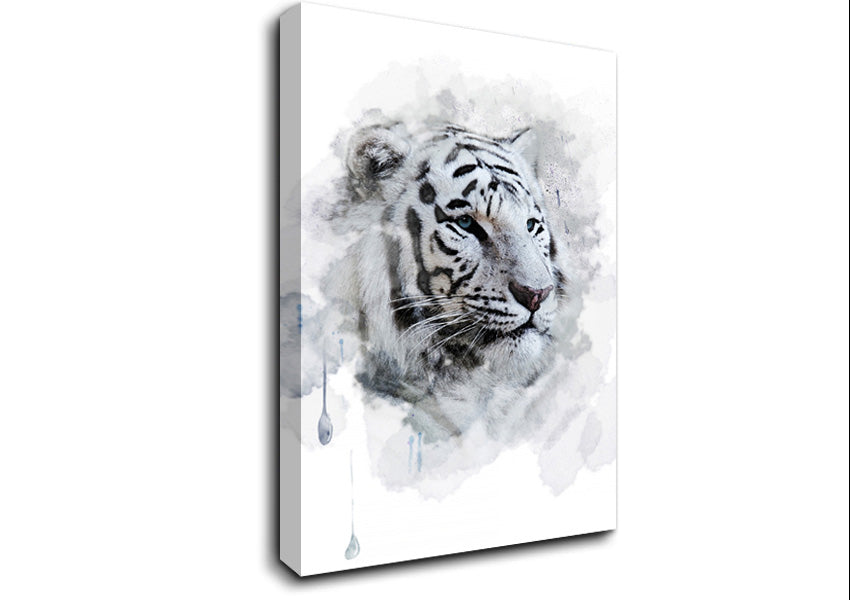 White Tiger Blue Eyes Canvas Wall Art