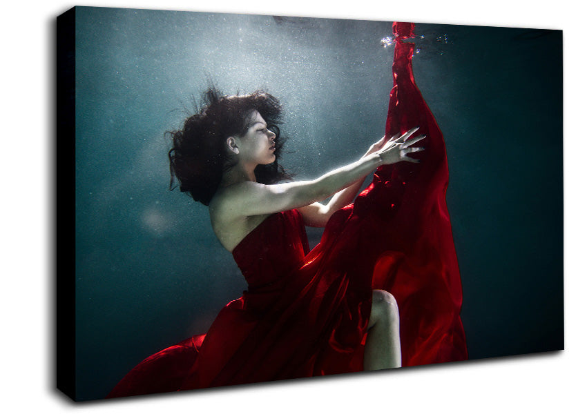 Underwater Ballgown Canvas Wall Art