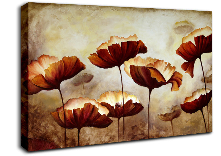 Chocolate Poppies Canvas Wall Art