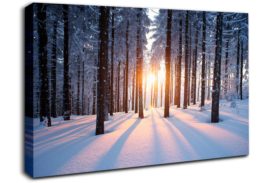 Sun Burst Snow Trees Canvas Wall Art