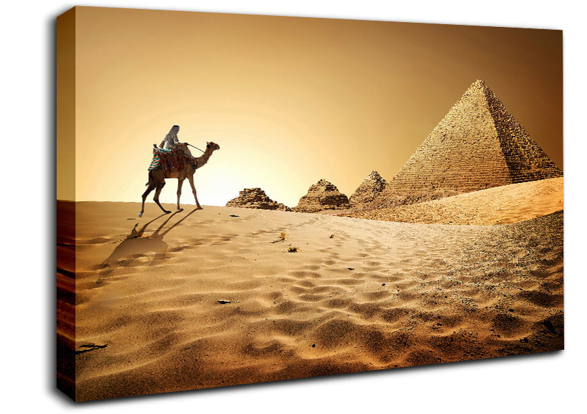 Caramel Camel Pyramids Canvas Wall Art
