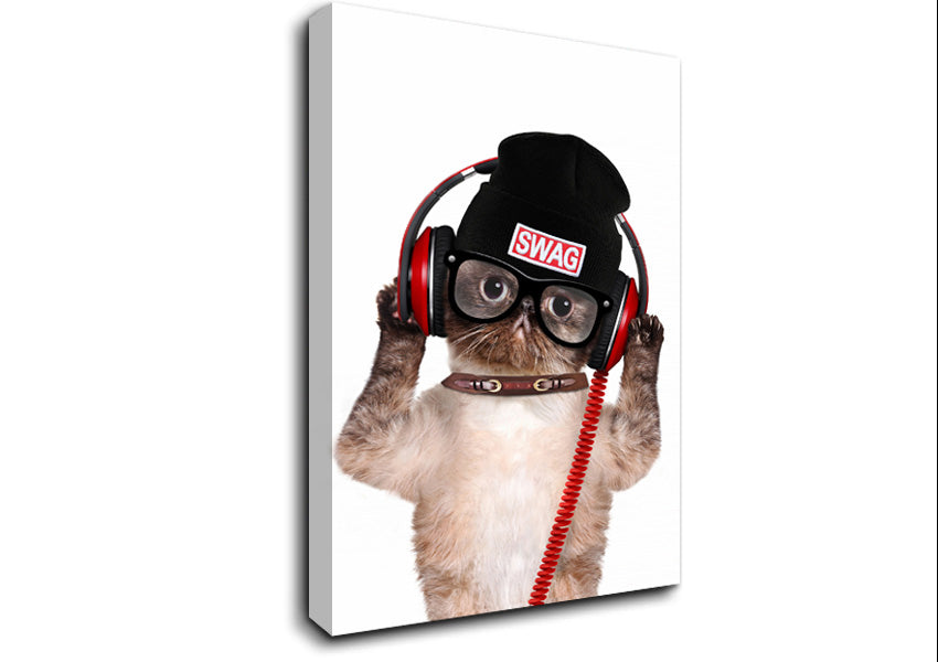Swag Cat Headphones Canvas Wall Art
