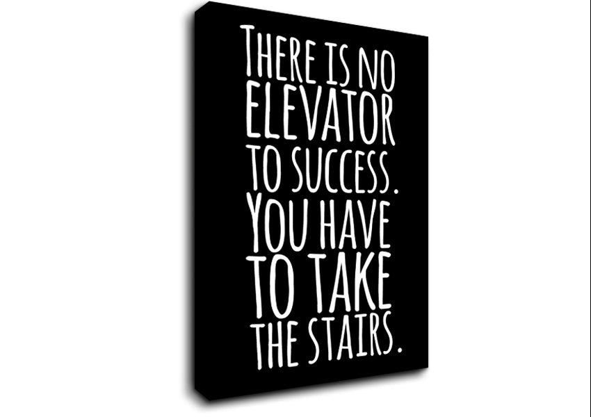 There Is No Elevation To Success Canvas Wall Art