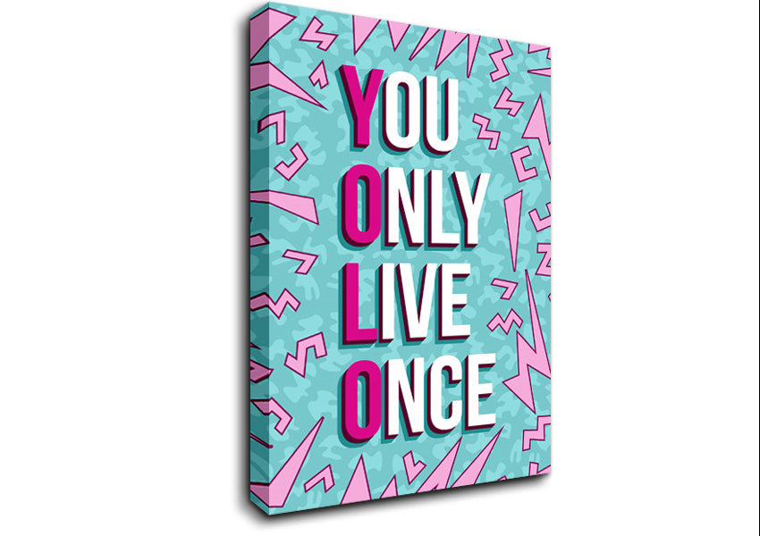 You Only Live Once Canvas Wall Art