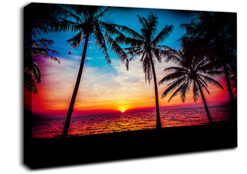 As The Sun Goes Down Between The Palm Trees Canvas Wall Art