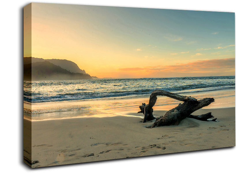 Driftwood Ocean Canvas Wall Art