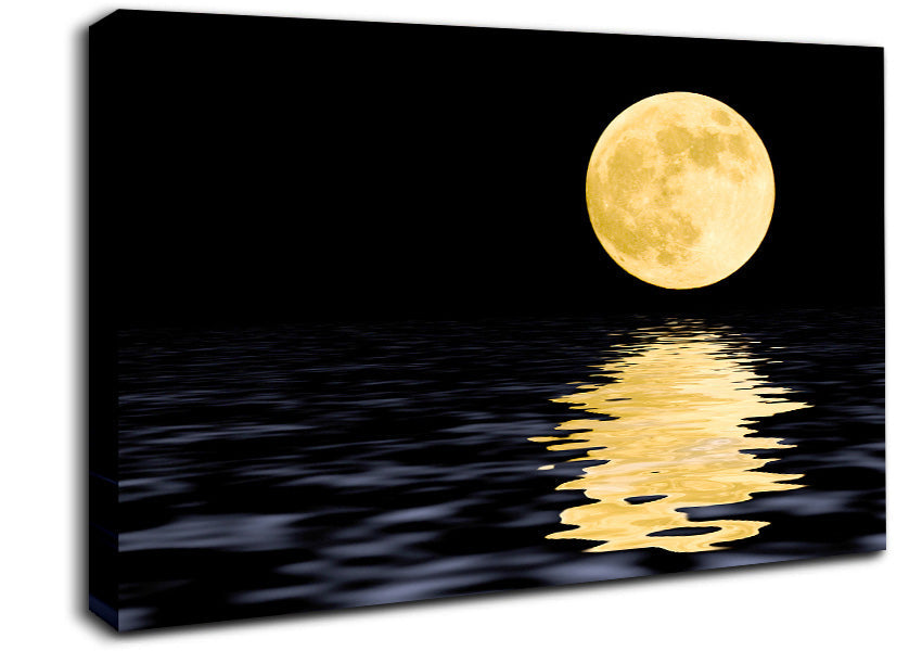 Perfect Moon Reflection Canvas Wall Art