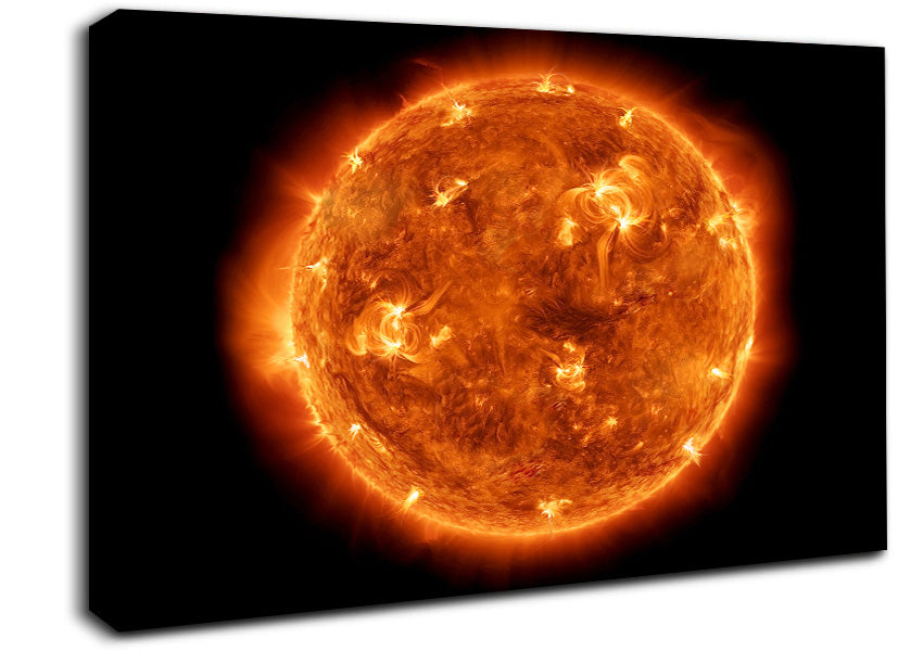 Heat Of The Sun Canvas Wall Art