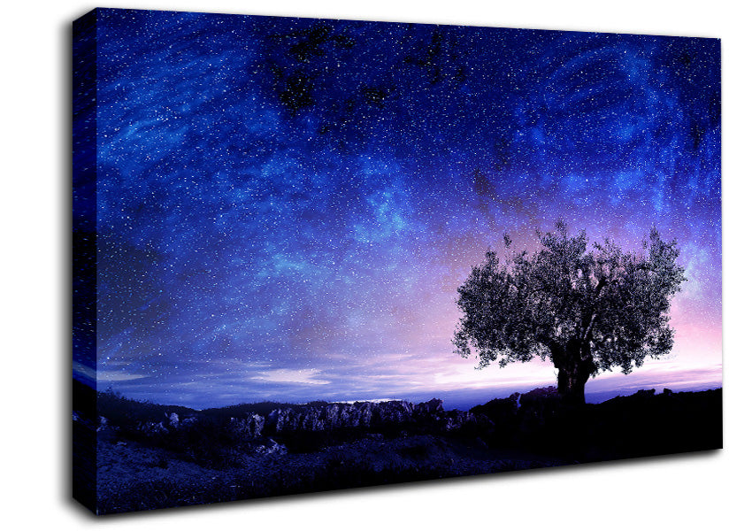 Star Light Wonder Canvas Wall Art