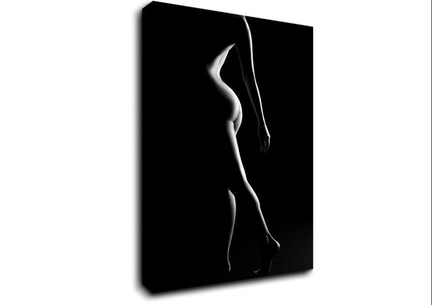 The Female Form 2 Canvas Wall Art