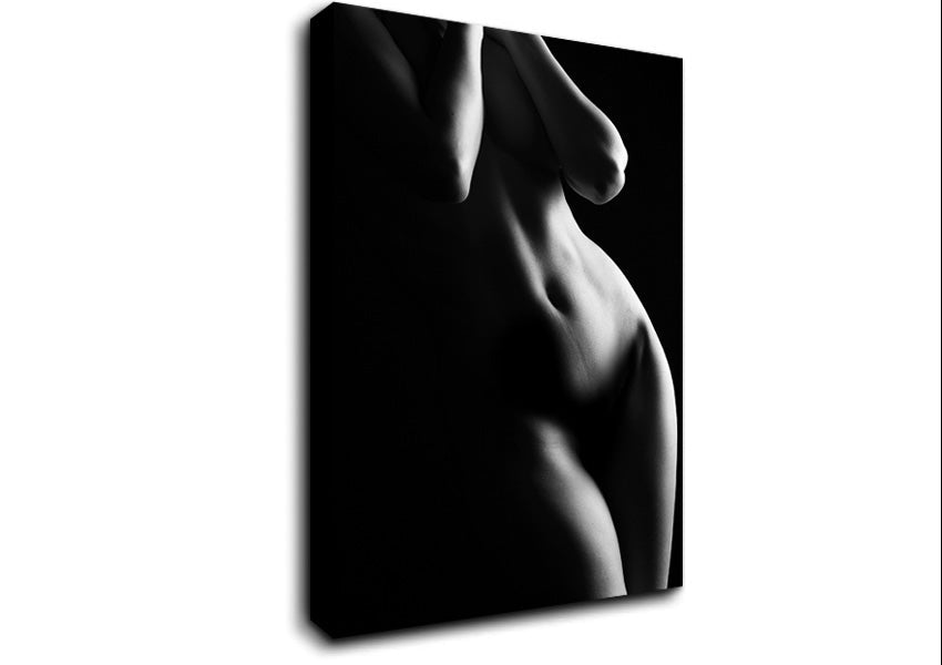 The Female Form 1 Canvas Wall Art