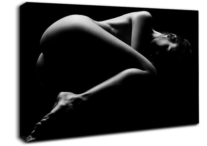 The Female Form 4 Canvas Wall Art