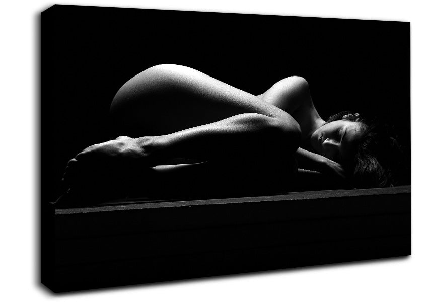 The Female Form 3 Canvas Wall Art