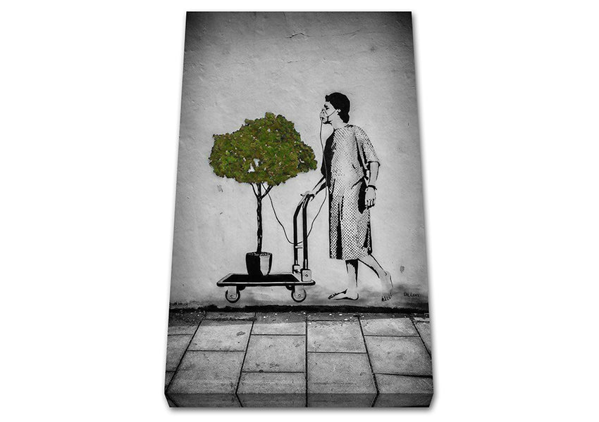Oxygen tree Canvas Wall Art