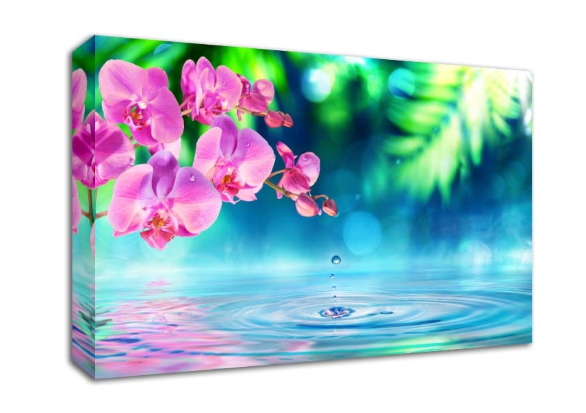 Pink orchid droplet Canvas Wall Art