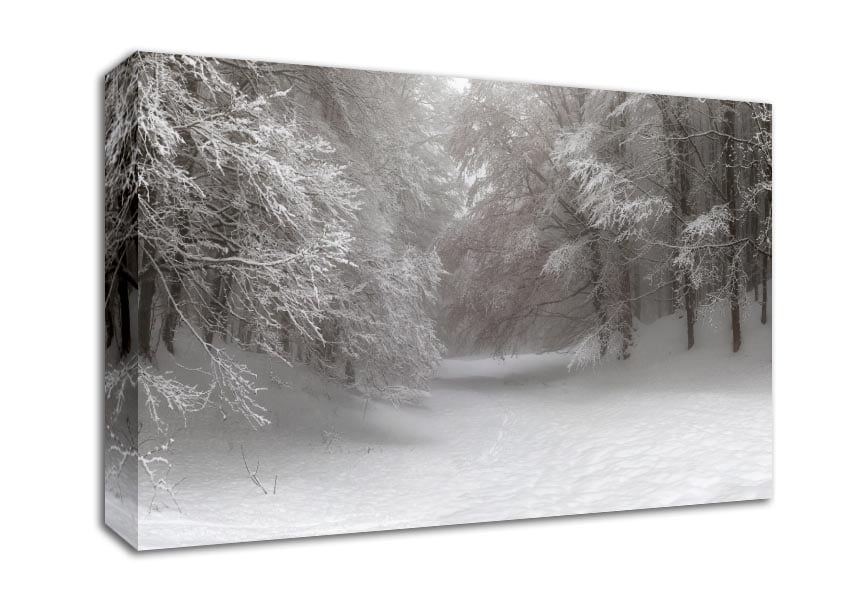 Grey snow forest Canvas Wall Art