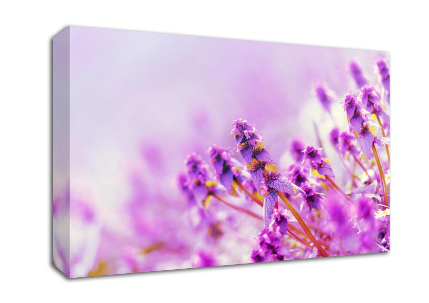 Lilac flowers in the mist Canvas Wall Art