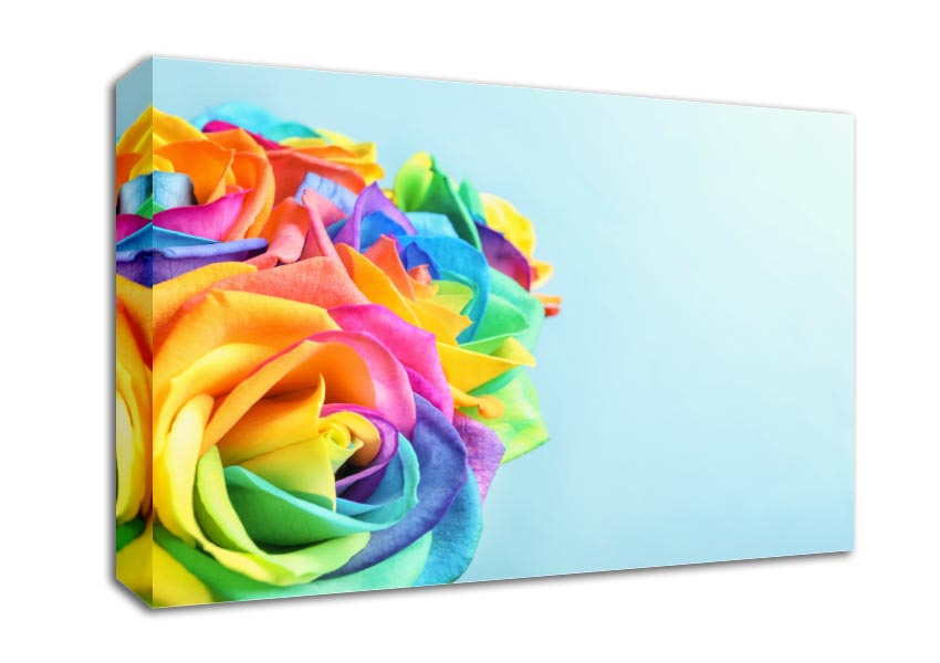 Rose colour rainbow Canvas Wall Art