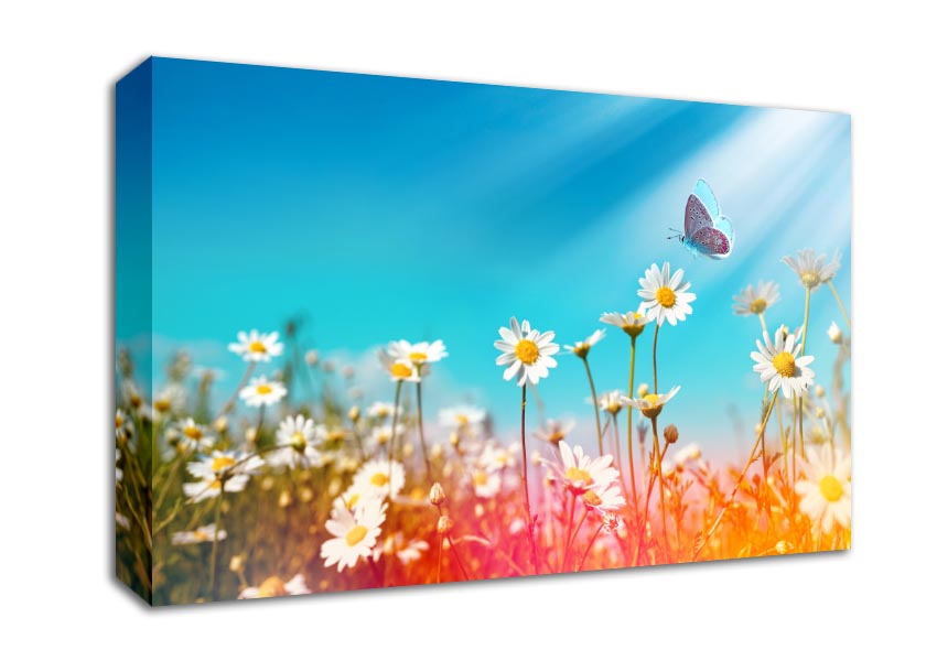 Butterfly landing on a daisy Canvas Wall Art