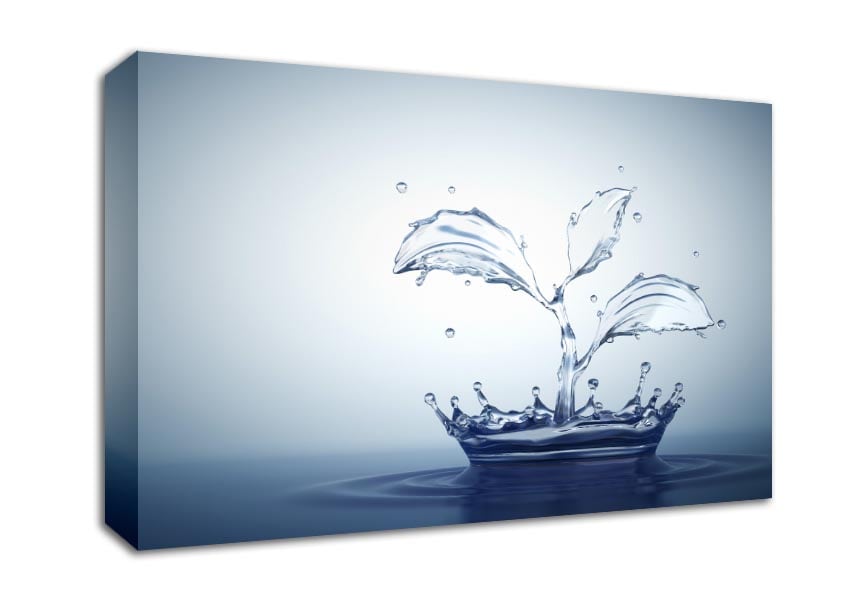 Water splash plant Canvas Wall Art