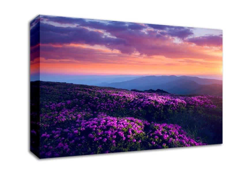 Purple Meadow mountains Canvas Wall Art
