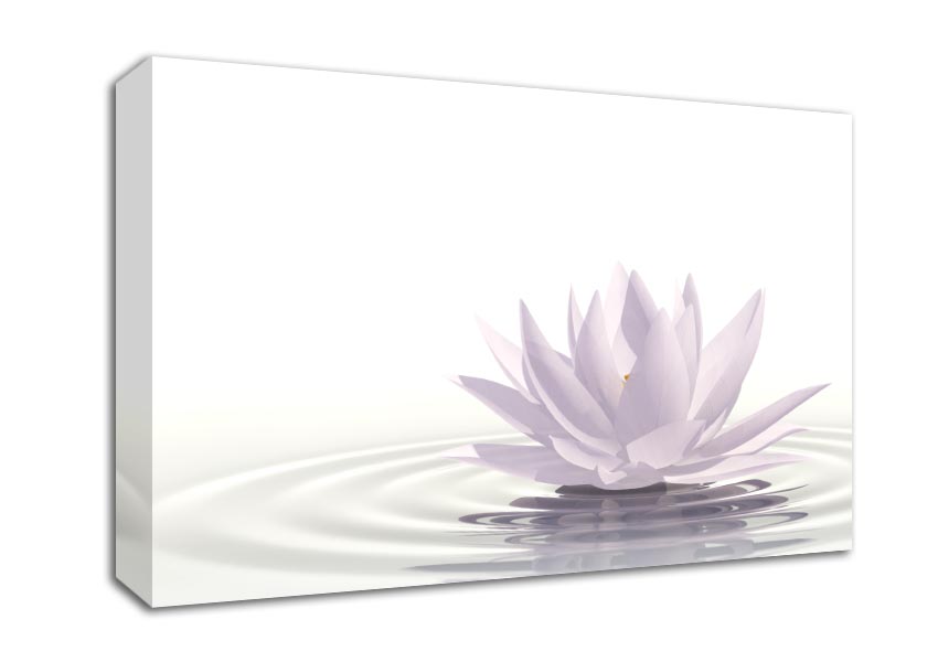 White lotus on rippled water Canvas Wall Art