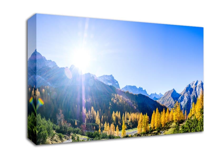 Mountain view of tall trees sunrise Canvas Wall Art
