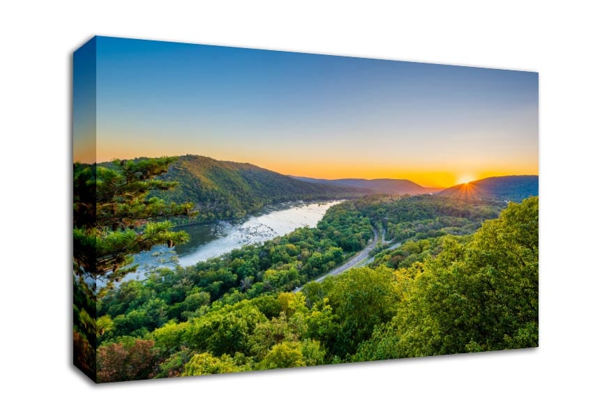 highway through the jungle Canvas Wall Art