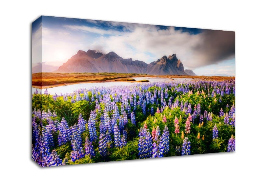 Loopins in the forest Canvas Wall Art